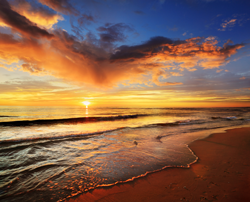 Dania Beach Property Managers