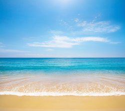 Hallandale Property Managers